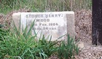 Geo Hy Wood Thumbnail